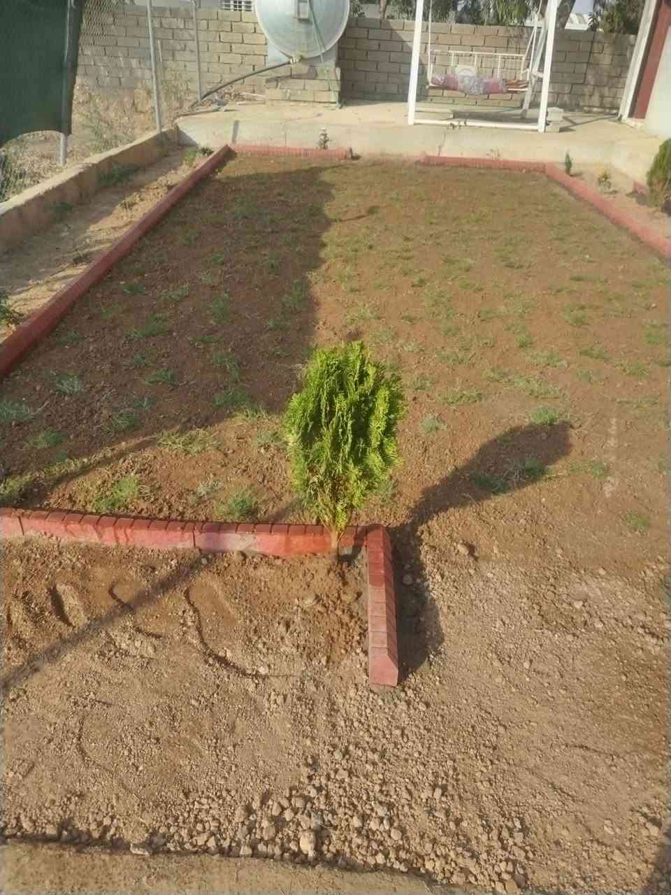 السلام عليكم
سياج الحدائق خشبي
نشتغل على متر طول
***********
***********
وتنظيف وترتيب حدائق
