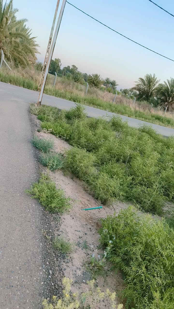 قطعه ارض على طريق السنيه السياحي 200 متر ركن بالمجمع كامل خدمات سعر مناسب السلام عليكم نص دونم لبيع حي العسكري بجهت البو جاسم رسمي سند 25
***********

قطعه ارض على طريق السنيه السياحي 200 متر ركن بالمجمع كامل خدمات سعر مناسب
