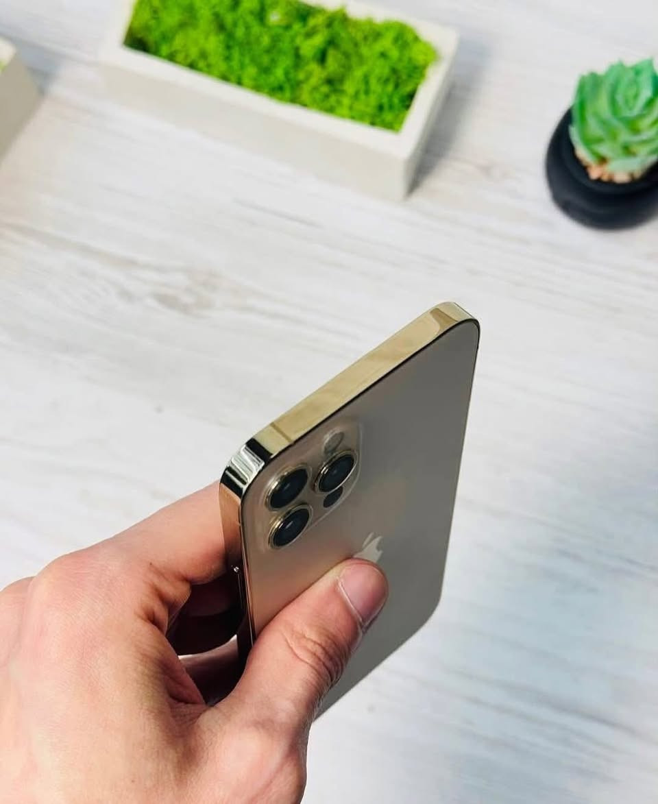 للبيع ايفون 12 برو ماكس ذاكرته 128 كيكه جهاز لوك شخط مابي كاميراته فول فقط مبدل شاشه اصلي مالت غير جهاز شرط فيس ايدي شغال شرط حاسبه بطاريته بلادي 77 شرط مايصرف شحن نمودج M أمريكي سعر 330 وبي مجال خاص او اتصل ***********
