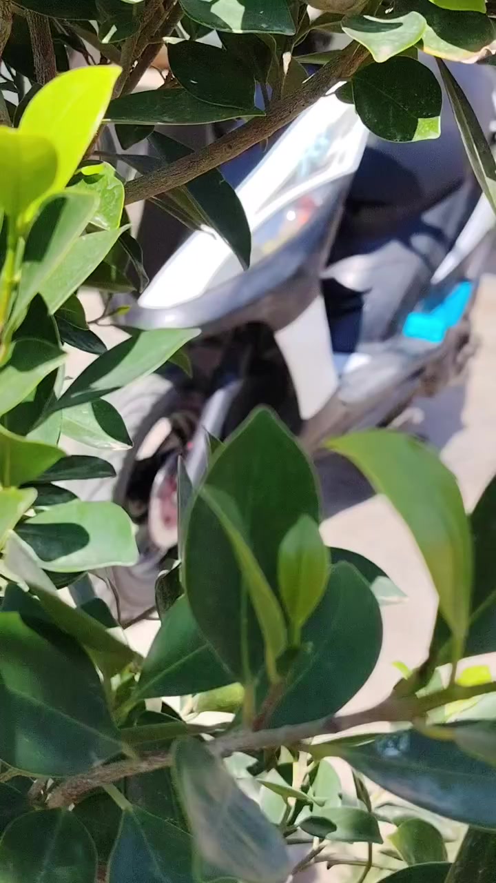 سلام عليكم
دراجة ماكس عدله بلاديه 

بوشه 49

مامفتوح بيها برغي مكينتها ناعمه وخير من الله 

كهربائيات كلها شغاله دراجة نكره سلف 

السعر 600 وبيها مجال


**إذا كنت صاحب هذا الإعلان وتريد حذفه لأي سبب، رجاءا أرسل رسالة إلى الدعم الفني**