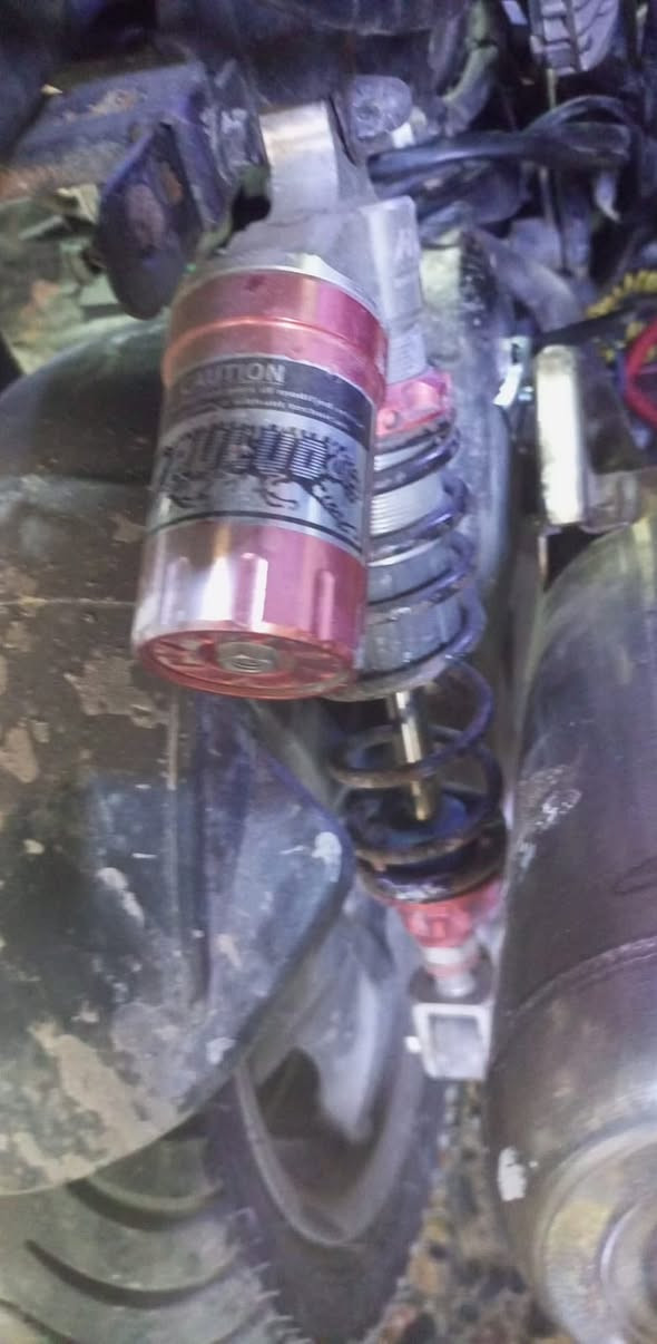 تزويد وبلادي وكلشي اكو أسعار مناسبه يوجد توصيل 
***********

مجمع جاكي
