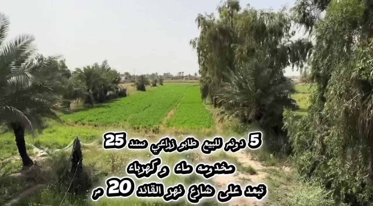 5 دونم للبيع طابو زراعي سند 25 
سند مفروز 5 دونم 
موقع بغداد-المحمودية-قرب نهر القائد 
تبعد على طريق حلة بغداد او مركز قضاء المحمودية 10 دقائق
للاستفسار 
***********
