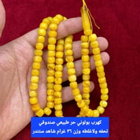 كهرب بولوني • طبيعي • خليجي