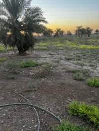 3 دوانمً البيع ماء كهرباء خير من الله  حسب الطلب يعني نبيع دونم عادي ع...