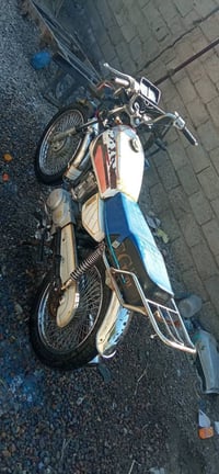 تايكر • شغالة • بابل