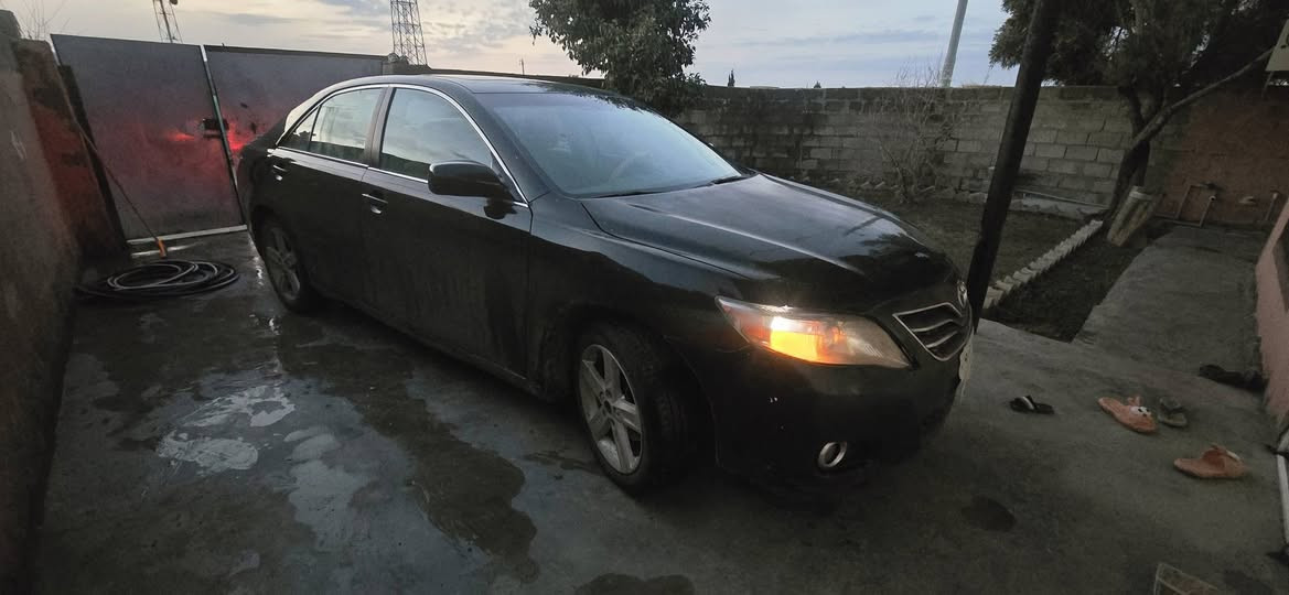 كامرى2009 LE فول مواسةفات سلايت. تةنها يةك چةملةغى پيشي بوياخة  سؤنةرم داناوة دواوةي قرچيكي هةية بةس ناو سندوقي نةگرتوة. سةنةوي تازة بةسةر چوة كال بونةوةي نية تةحويل خرامة بؤياخ گير مةكينة هةمووي بةشةرت.  سعري. 103$   ***********.... *********** چمچمال السليمانية, العراق
