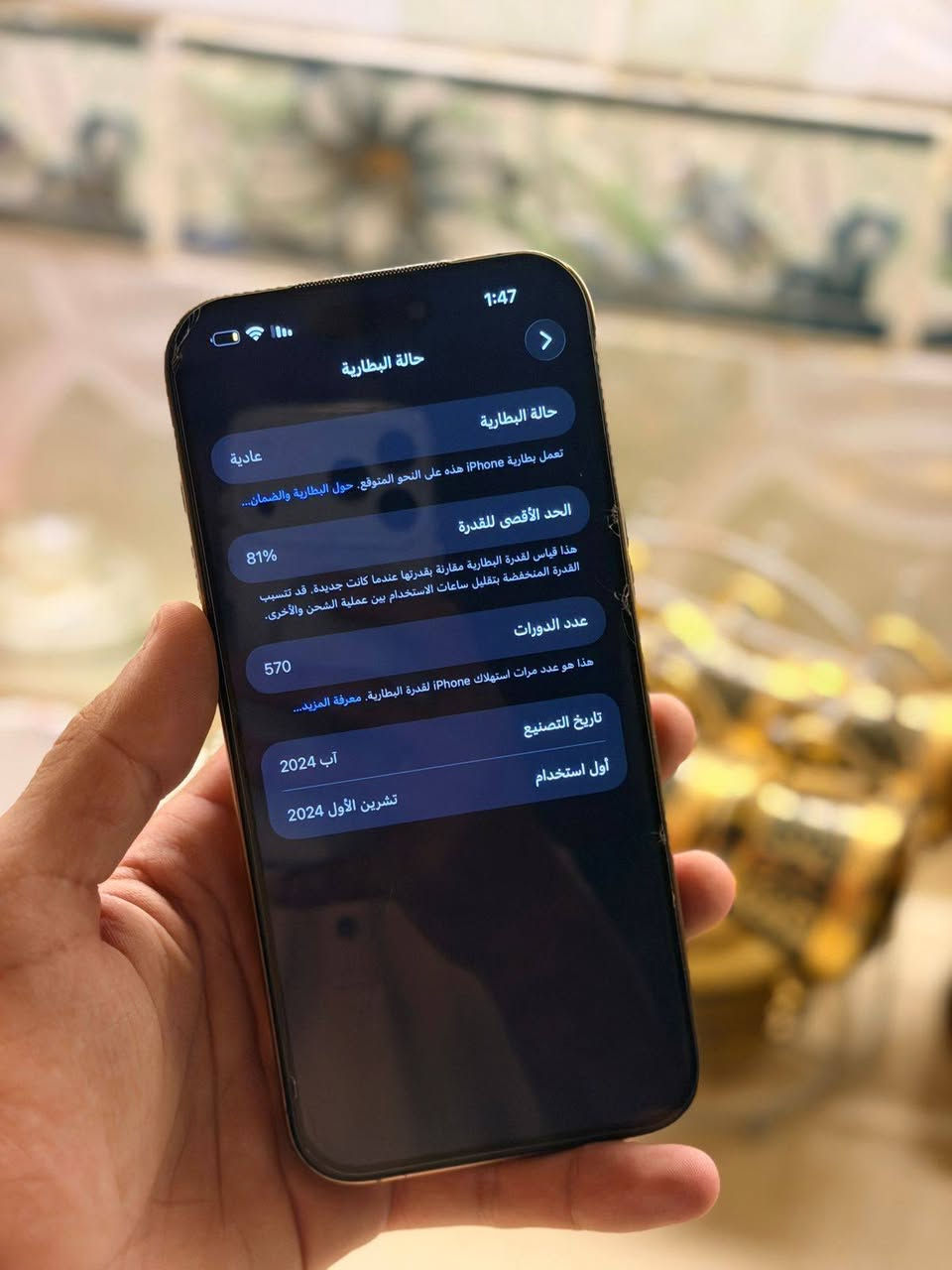 ايفون 16برو ماكس عربي شرق أوسط
بطاريه 81 بلاد
ذاكره256
مبدل شاشه نوعيه كلش حلوه لاتعلك ولا شمر للبيع
تواصل واتساب ***********
