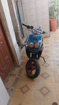 سكنس • شغاله • عوزه ترتيب