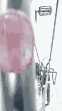 باسكل سوبر A • مقاس 26 • 6 نمر