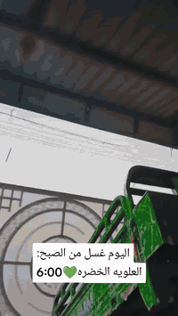 للبيع ستوته فرس مديل 15الستوته جاهزه من كهربائيات واشاير والستوته سنوي...