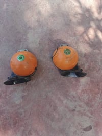 هورنات للبيع بغداد حي البتول سعرهن 15  07715115820