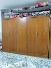 كنتور • عراقي