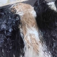 ٩ قطع • الياف