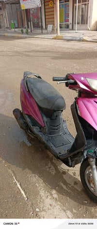 ماكس ثعلب • ١٤٠ • مكفولة