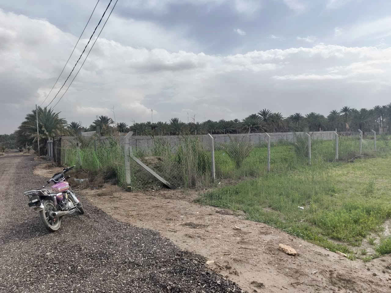 يا الله سلام عليكم
#ارض زراعيه للبيع 
المساحه ٣الاف متر  كما موضح ب الصور 
#سند ٢٥ تحويل مباشر ب اسمك
الارض دولار يعني تبقيه شهر تصعد فوك سعره 
#متوفر جميع الخدمات ماء  كهرباء مولدة شارع 
الموقع/شارع ١٠٠الرابط بزل حجي علي تبعد عن شارع ١٠٠ 
العام ١٠٠ متر 
للاستفسار اكثر اتصل على الرقم وبخدمتك‪‏‪0787 689 2247‬‏
