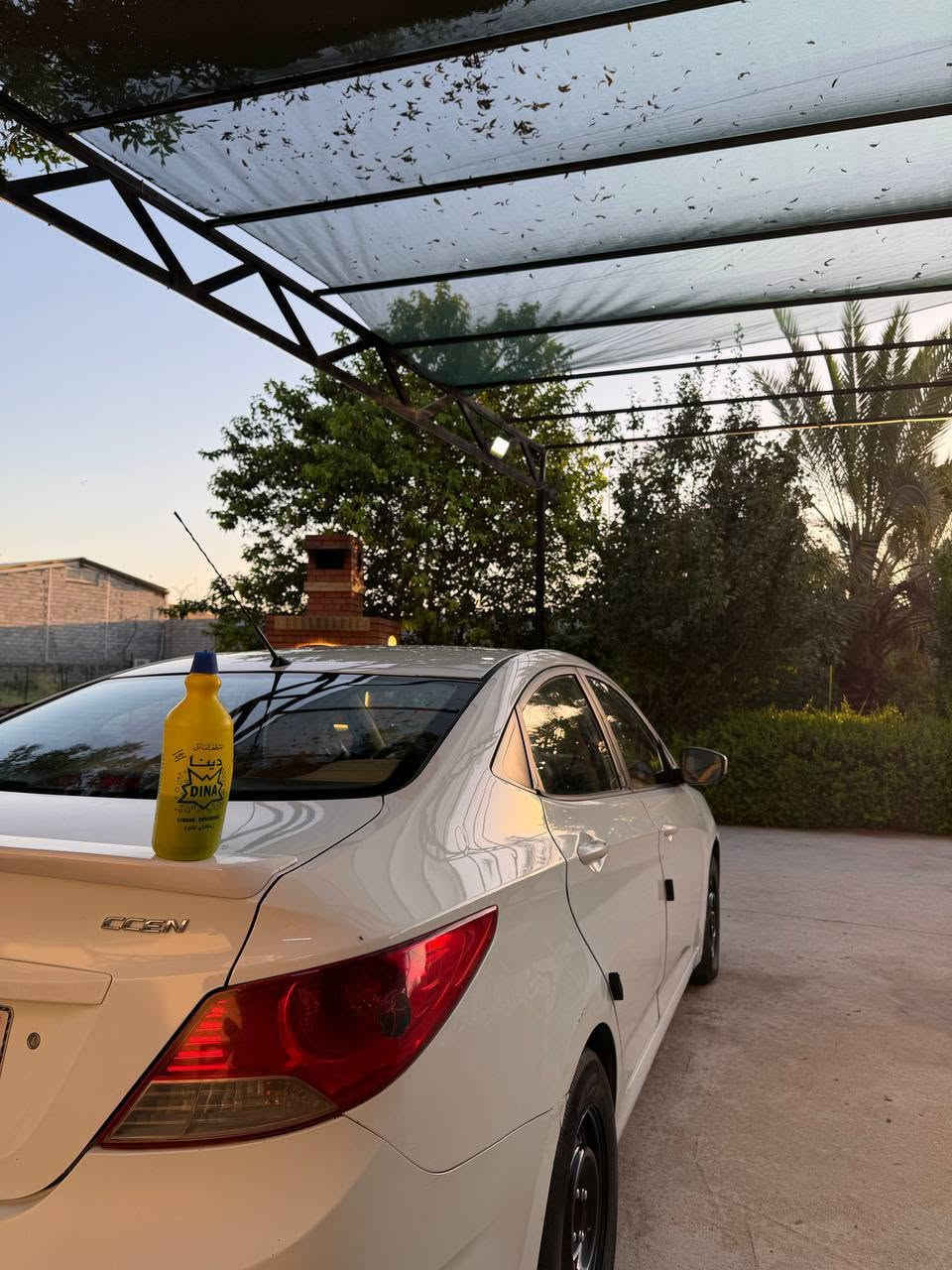 على بركه لله🩷
اكسنت موديل 12 خليجي 1600 قطرتين 

وبيها قطعتين صبغ شويه من جاملغ السايق والبنيد لا داوخل ولا شاصي ولا لغد كفاله 

كير مكينه خير من الله ضمان وأمان 
السياره ماشيه 168 ألف حقيقي وقابل للزياده 
وبسمي تريد تحويل تريد وكالة 
ستاذي السياره منظومة تبريد جديده 
صدري أمامي خلفي شاد جديد 
تخم تاير جديد أصلي من حي العامل انتاج ٢٦
ويل جديد كذلك. 
منظومه ماء جديد راديتر واتر بم كلشي جديد مي اخضر على شرط 
باتري جديد 
أستاذي سياره متعوب عليها مال جناي غسل وحمام وفول نظافه 
كبل للشارع 

وكل شيء موجود للتاكيد للي ذكرته 
الرقم الدولي الجديد 

تحويلك بملعب الشعب او أي موقع ثاني 

مكان السياره مدينه الصدر 
للاستفسار مراسله واتساب ***********
