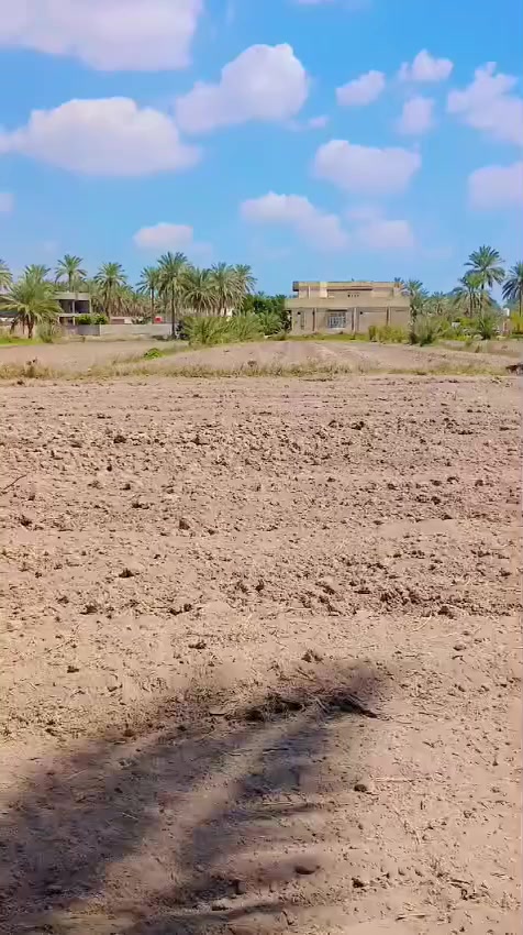 بسم الله الرحمن الرحيم 
تتوفر  وقطع  سكنيه مختلفه #للبيع #زراعي تحويل بسم المشتري 
التعامل مع صاحب الارض مباشر
 تصلح مزارع او سكن  بأسعار مناسبه الموقع في محافظة #بابل #الحله سند25 تحويل بأسم المشتري مباشر 
توجد قطع مساحه مختلفه @للبيع في بابل 
@يوجد دوانم للبيع
@يوجد نص دونم 
@يوجد  مساحه 1000متر 
@يوجد مساحه 750متر
@يوجد المساحه 500 متر
@يوجد المساحه  250 متر 
ويوجد دوانم تصلح مزارع  و سكن طريق حله نجف نزله الامام بكر  ابن علي عليه السلام اوتنزل الى مقام نبي الله ابراهيم الخليل خلف المقام  خلف المقام بواحد كيلو #السعر  اوباقي التفاصيل على  الخاص  اوالاتصال 
  ***********  اتصال 
***********  واتساب
#الجميع_عام_ارض_زراعي_للبيع
#الجميع_عام_اراضي_زراعي_للبيع_حله_بابل_دوانم_للبيع_الج #مزارع #دوانم#بابل_حله #زراعي#@الجميع@المتابعين@الاصدقاء
