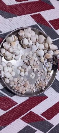محار • ديكور • ريزن