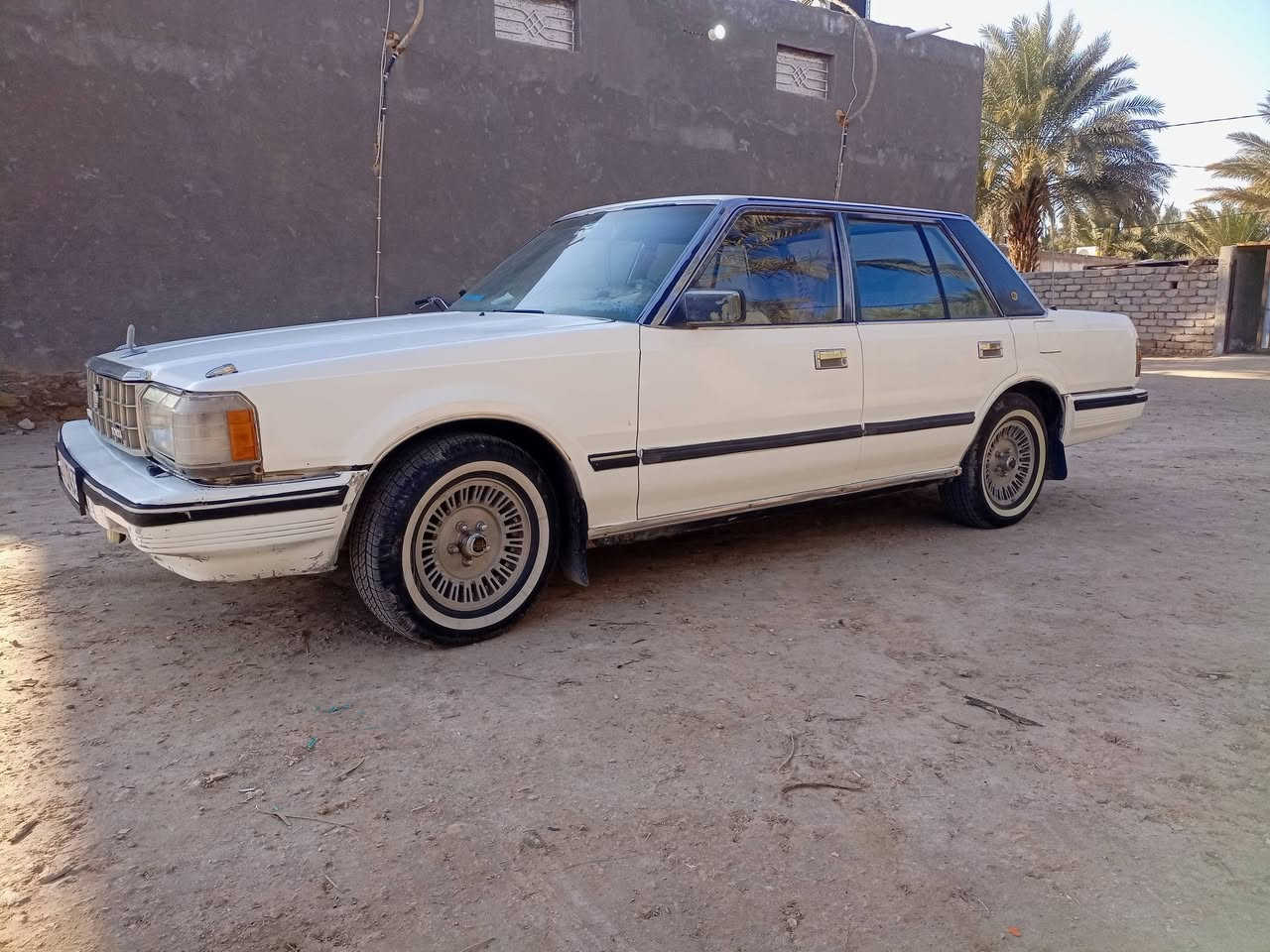 سوبر للبيع موديل 84 السنويه جديده
سياره جاهزه من كلشي بلادي بسمي السعر 45 
الرميثه الهلال 
الرقم صاحب السياره  ***********
أنا مكلف بالنشر ؟
