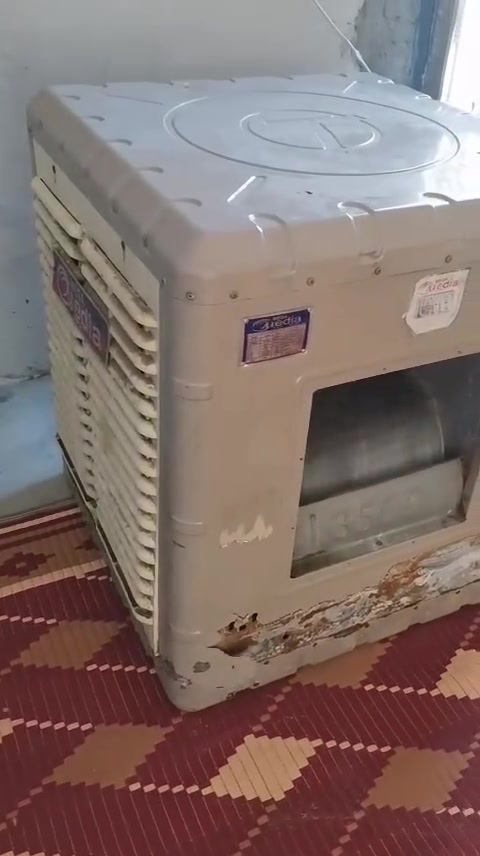 مبرده نضيفه كدام العين تشتغل سرعتين غطاسات 2 جاهزا كل عيب مابيها سعرها 85وبيها مجال مكاني بعقوبه المفرك رقم الهاتف ***********
