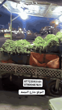 عربانھ مال خضرھ للأيجار مكان مرزوق وركن شغلھ خير من اللھ بشارع لنجمھ بس ما متفرغلھا عندي شغل ايجار يومي شتفتح بيھا فتح اأجرھا ھيھ وغراضھا ماي يمك وكرباء بيھا كاملھ بس اتسوك وبيع الي يريد يفتح بيھا يتصل علي ***********
