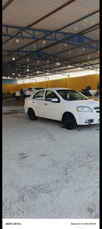 افيو • ٢٠١٠ • النجف الاشرف