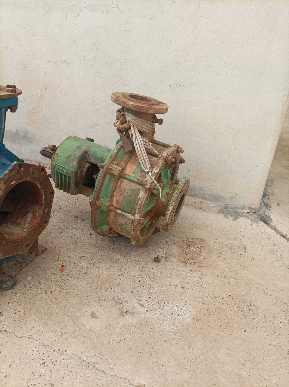 للبيع خنزيره أيطالي ضاغطه درجه أولى بولبرناتها تعبانه يتبدلن فقط والضغط ماتسولف بي شغل وشگدعندك مسافه دفع لاتخاف سبب البيع الخساره بألفلاحه 😁السعر800


**إذا كنت صاحب هذا الإعلان وتريد حذفه لأي سبب، رجاءا أرسل رسالة إلى الدعم الفني**