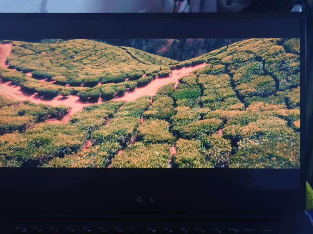 للبيع لابتوب Dell XPS 15 (9570) - نسخة بروفيشنال للمصممين والمهندسين
السلام عليكم.. للبيع لابتوب ديل XPS الغني عن التعريف، الجهاز ملك الأناقة والأداء، يعتبر من أنحف وأقوى اللابتوبات في العالم. مناسب جداً للمصممين، المبرمجين، وطلاب الهندسة.

المواصفات:

المعالج: Intel Core i7-8750H (الجيل الثامن فئة H عالية الأداء - 6 نويات).

كرت الشاشة: NVIDIA GeForce GTX 1050 Ti (4GB GDDR5).

الشاشة: 15.6 إنش بدقة FHD، تقنية InfinityEdge (بدون حواف)، نسخة الـ Matte المريحة جداً للعين والتي لا تعكس الإضاءة (مثالية للعمل الطويل).

الذاكرة (RAM): [ 16GB] DDR4.

التخزين (SSD): [ 512GB] NVMe سريع جداً.

الهيكل: مصنع من الألمنيوم وألياف الكربون (Carbon Fiber) خفيف الوزن ومتين جداً.

المميزات: كيبورد مضيء، بصمة إصبع، بطارية بحالة جيدة جداً، ونظام صوتي سينمائي.

الحالة: الجهاز نظيف جداً ومفحوص 

السعر: [700 الف] (قابل للتفاوض البسيط)

المكان: المحمودية / بغداد (مع إمكانية الاتفاق على مكان للمعاينة).

للتواصل: [***********]
