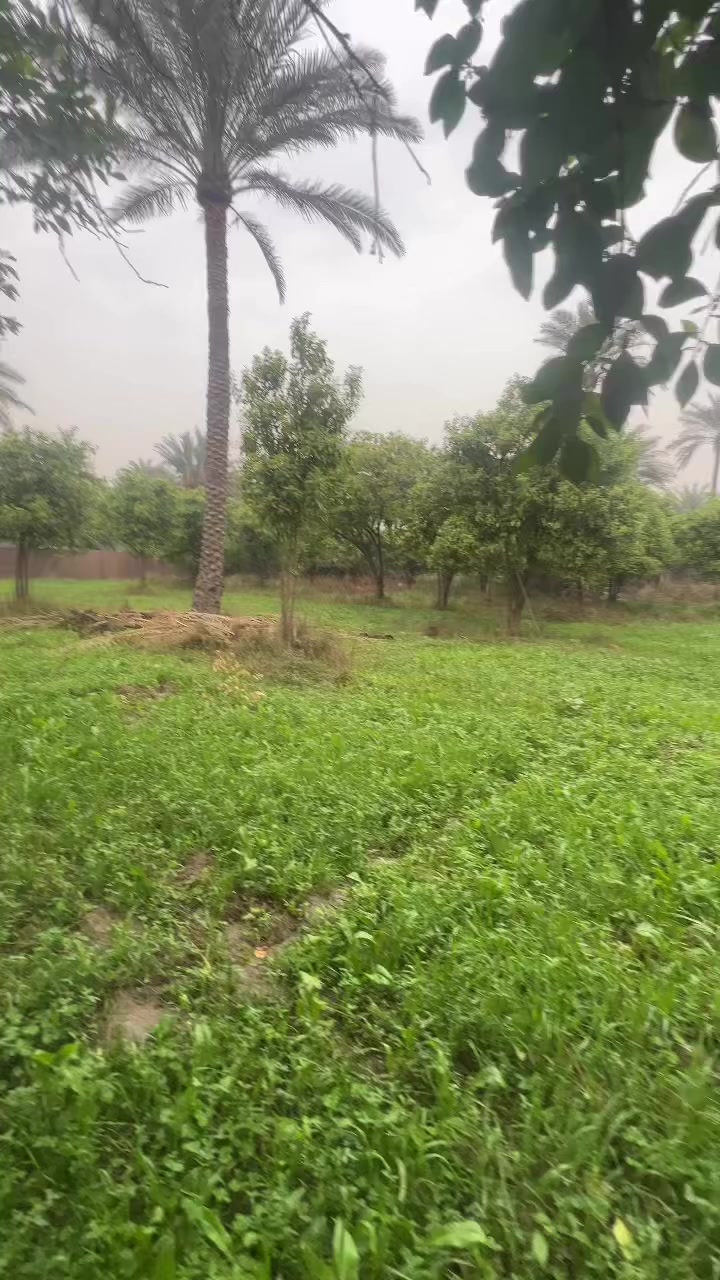 🏝️📢اعلان رقم (340)🌏قطعة 650 متر🌍
📍الموقع : بغداد الراشديه منطقة المراسمه 👌
🌏المساحه : 650متر  
📐الواجه     :  12متر 
🔚 النزال      :   53متر 
📝 موقع مميز وشارع   10متر
 ⛰️مكتب الفهد ⛰️
للاستفسار الاتصال على الارقام التاليه او زياره 🕹️موقع المكتب الكائن في الراشديه منطقة الانتصار ☎️ *********** ☎️***********    
📹مستعدون  لعرض  عقاراتكم ولتسهيل عليكم البيع بالسرعة الممكنة ويفضل من المالك الشرعي للعقار   👌حصرا لتكون المصداقية مع المشتري حصرا... مع التقدير✅ 

مكتب دلالية الفهد ☎️***********🤳***********✅️واتساب

⚠️موقع المكتب 
شمال بغداد منطقة الانتصار الراشدية 
مقابيل مستشفى حماد شهاب 💫 
 #بيوت #مشتملات #بيع #شراء #استثمار #الحسينية #عقارات_بغداد #العراق #بغداد #عقارات_الحسينية #طابوملك_صرف #سكني #عقارات #موصل_بغداد_كركوك_حله_نجف_بصره #العراق_السعوديه_الاردن_الخليج #المحافظات_العراقية #بصره_بغداد_ميسان_ذي_قار_كل_المحافظات #اوربا_المانيا_النمسا_هولند #الخليج #دبي_قطر_الاردن_لبنان_العراق #العالم #انجاز #مقالب #سؤال #الشعب_الصيني_ماله_حل #اكسبلور #ريلز #متابعين #هاشتاق #بغداد_بصرة_موصل_الكويت_الخليج_دبي 💫اخوكم وخادمكم مروان السراي
