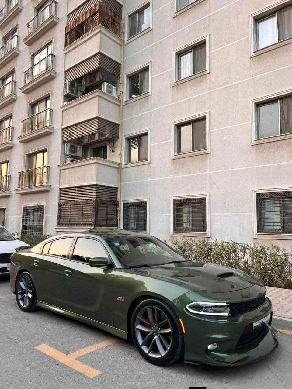 سلام عليكم 🤍  لبيع او لمراوس / اتصال فقط. ما متواجد ع النت

188 $$ وماكو هيج سعر  بسوك كله 🤍

جارجر سكات باك أصل  2020 

سكات باك محرك  6.4  

رقم بغداد  هزة قبل شهرين كملتها / باسمي شخصيا 

ماشية  40km 

حادث بنيد  جاملغ  ايسر و اليمن جاملغ الخافي صبغ  لباقي كفالة

 

المواصفات 1/1) 

مكابح رياضية (برمبو)  6 بستم 

لايت LED 

كاميرا خلفية 

امكانية التحكم بوضعيات المقود كهربائيا 

كزوز سستم 

ويل قياس 20 أنج اصلي

تشغيل عن بعد 

مقاعد رياضية من الجلد الفاخر ) 

نظام خرائط GPS 

تدفئة ستيرن 
اضافات

#دركه SRTاصل مضلعه كاربون فايبر  (امريكية)

#هدرز+ كزور تفصال علي الوادي /شرط صوت رعب

#ولف حماوه مشميتو نحاس 82

#فيتبم  ول برو 550 + قاعدة فيتبم جديده 

#بلكات  ريسنك  ابو ضمان

#ويالة شرط جدد لا عواج ولا رجة

 #عدسة امريكية شرط لايت نهار 

# لد متغير  

# حدادية  شرط اي قطعه تلكه علهيا ختم موبار  

كير مكينة  اكسل  تبريد  حدادية  كلهن كفالة شرط الفحص وين ميعجبك 

العنوان النجف 

‭***********‬ النعمانية, واسط
