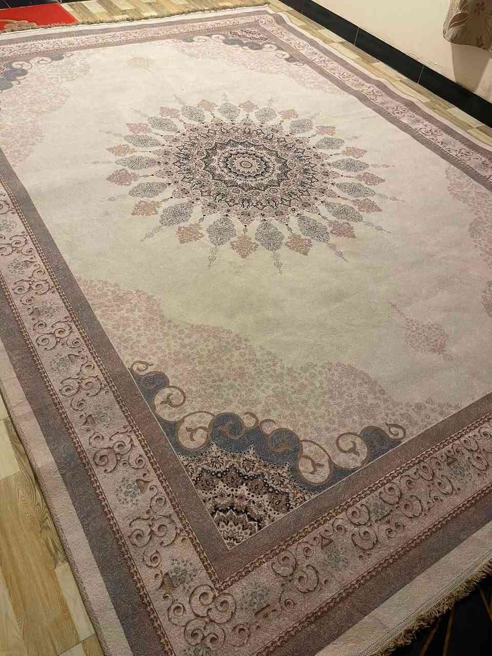 طبلات ثلاثي أريدهم ب٣٥ نظيفات وزوليه قياس ٣/٥٠٠في ٢/٢٥٠٠
نظيفه لوّن اوفايت تريدها ب٥٠ شراي يراسل مكان تنومة


**إذا كنت صاحب هذا الإعلان وتريد حذفه لأي سبب، رجاءا أرسل رسالة إلى الدعم الفني**