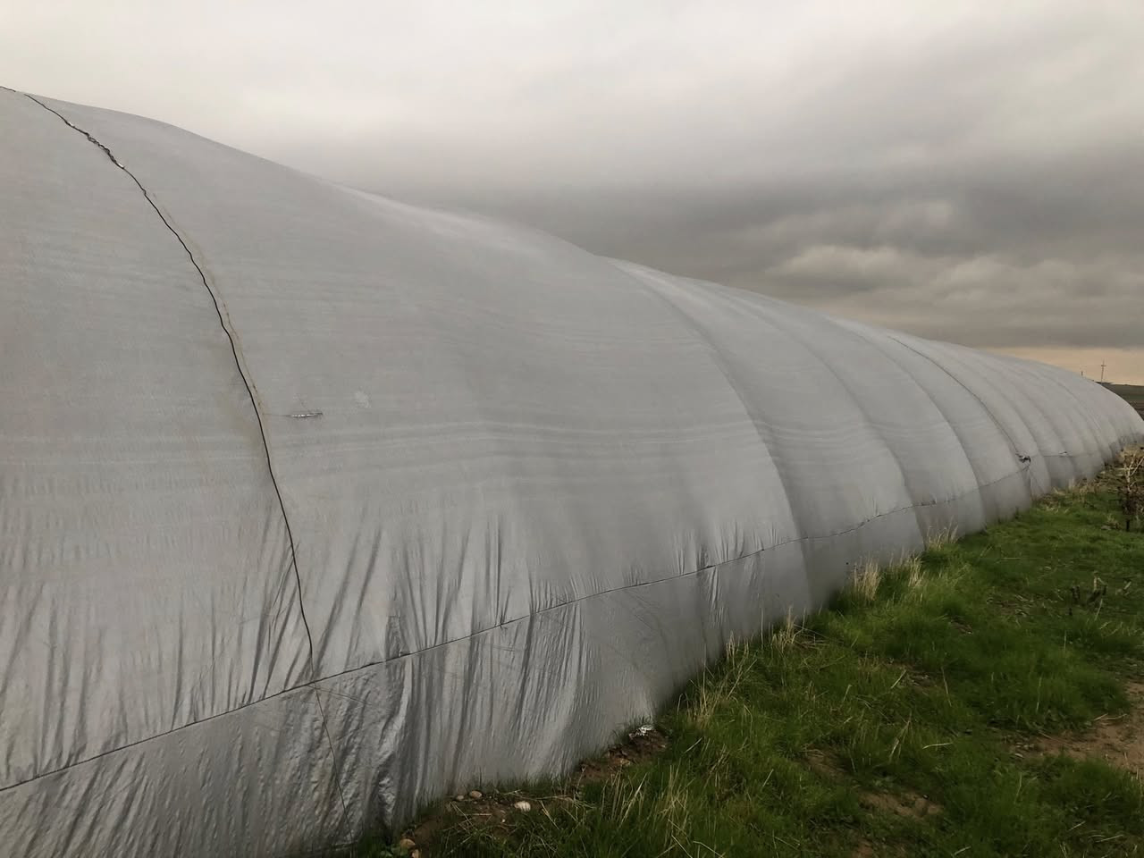 السلام عليكم حقل دواجن للبيع طول ٤٤ متر العرض ٩ الحديد جديد المعالف المنهال العازل جادر لايلون حاضنات خزانات ماء تاسيس كهرب تاسيس ماء غراض قاعه كامل جاهز مابي اي نقص سعه ٦ تالاف دجاج عنوان موصل 
***********
***********
***********
