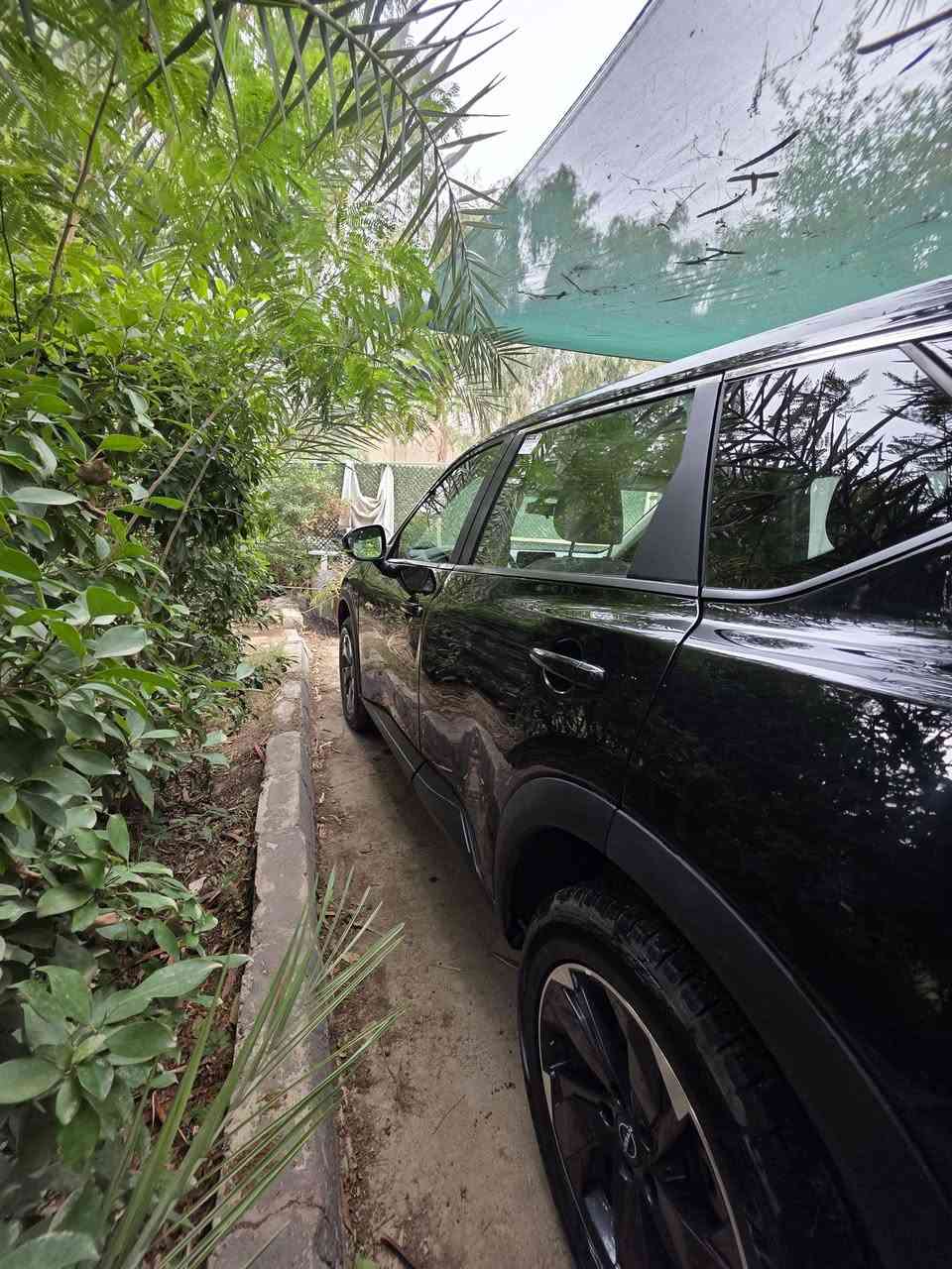 Sv نيسان روج  2025 
ماشية ٧٠٠٠ 
بجم كبس
بدون ايرباك 
بصمة تشغيل 
تشغيل عن بعد
تحكم جهتين 
كروز سرعه 
تحديد مسار
شفتات إستيرين 
3 أنظمة قياده 
دبل كير عادي واتوماتيك 
هند بريك بصمه 
تبريد شاشه ومناخين وتبريد امامي وخلفي 
شاشه كأمره 
رادار امامي جانبي خلفي 
وحساس خلفي 
وايقاف ذاتي امامي وخلفي 
واتو هولد 
قياده ذاتيه 
نقطه عمياء 
أشاير بالمري 
والكشن كهرباء 
٣ قطع صبغ 
السعر ١٦٨ وبيها مجال 
صور الحادث بل منشور 
للاستفسار  الاتصال 
***********
