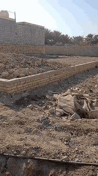 ناحية سديناوية • ٢٠٠م • زراعي