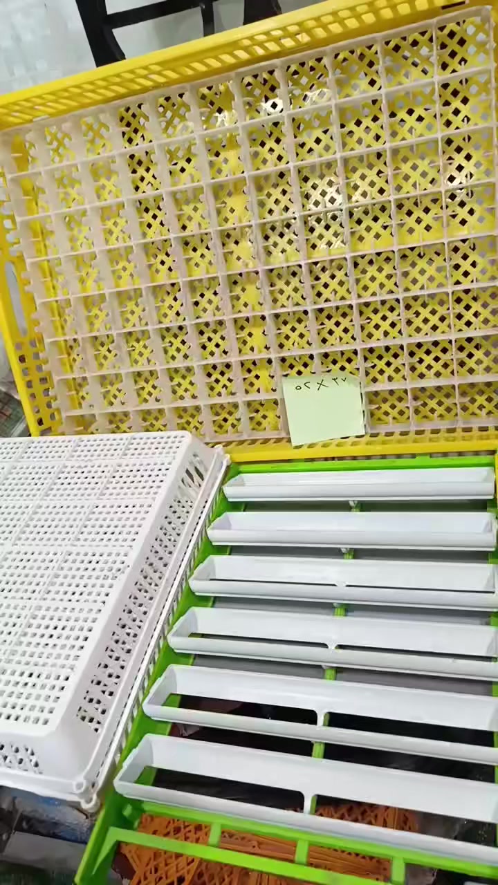 السلام عليكم وتحية طيبة للجميع 🤍
تم توفير جميع الاطباق والسلات الخاصة بالتفقيس الصينية والتركية 
🔴#تابع_الفديو ❤️
العنوان 
عيادة تودي البيطرية Today vet clinic 
موصل حي الحدباء سايدين المضخه 
ومتوفر توصيل لكل محافظات العراق 
للاستفسار 
***********
***********
