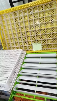 أطباق وسلات تفقيس • صيني تركي • موصل الحدباء