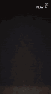 سلام عليكم اخوان بسكل لابيع بسكل نضيف شركت بيدي باسكل حلو سعر خاص رقم ***********
