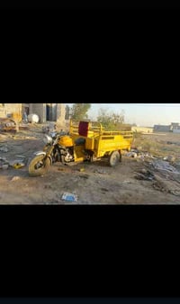 ستوته صقر • 2019 • أوراق كاملة