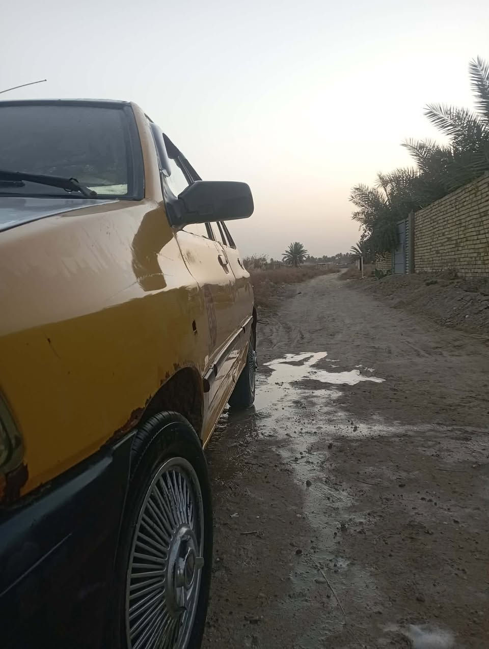 سايبه مديل ١٠ رقم بغداد مصفره هيئه راعيه حله مكينه وكير مكفوله مكلف بنشر نتصل عل رقمسايبه مديل ١٠ رقم بغداد مصفره هيئه راعيه حله مكينه وكير مكفوله مكلف بنشر نتصل عل رقم***********
