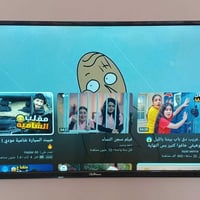 جنرال • ٤٣ بوصة • مستخدمة شوي