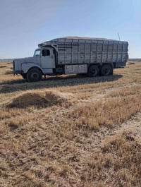 سكانيا • ١١١ • اربيل