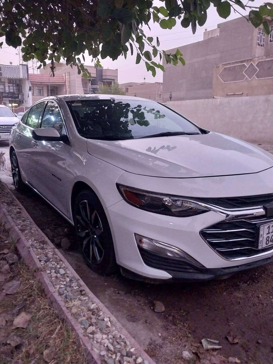 ماليبو ٢٠٢٤  رقم بغداد باسمي 
*********** بغداد, العراق
