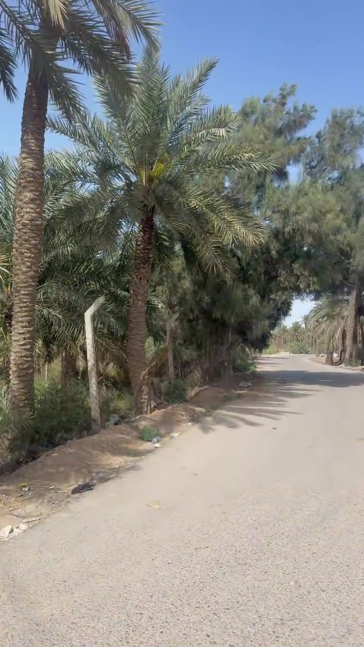 سلام عليكم يوجد قطع مساحت الوحده 120متر غرب سيد سلام طريق المرتبط بسفينه. وعله جهت السديناويه ***********
