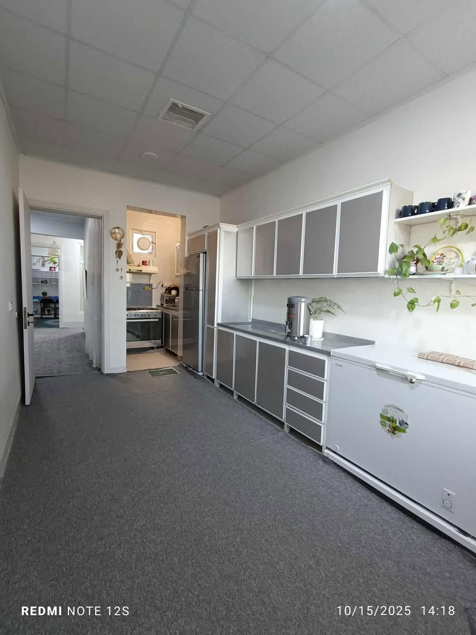 سلام علیکم

#خانووی_مۆدێرن_بەردەم_چۆڵ بۆ فرۆشتن ⛪💒
ناونیشان 📍کەلار _ قەزای ڕزگاری ( سممود )

◼️گەڕەکی ئاوباریک  🛣️🏞️
◼️ نزی جادە سی مەتریەکەی تم تمەیەکان 🏛️💒
◼️ ڕووبەری 7.5 بە 20 = 150 مەترە 📏📐
◼️ کۆڵانی پان و فراوانە و ڕووی لە سلیمانی
◼️ شوێنێکی زۆۆر خۆش و دڵگیری هەیە  
◼️ریگەپیدانە بەمەرجی تحویل ✅

مواسەفاتەکانی ئەم خانووە پێکهاتوون لە ⬇️
(کامل ژوورەکانی د کت سەقف سانەویە✅ کامل ژوورەکانی کاشییە ✅تایبەت دروستکراوە ✅)
 
🔴 ژوورەکانی ئەم خانووانە پێکهاتووە لە ⬇️

🔶 میوان 🪑🚪
🔶 مطبخ 
🔶 مساعد مطبخ 🍽️🫖
🔶 هۆڵێک 🖼️
🔶 دووژووری نوستن 🛋️🛏️
🔶 ڕۆشنایی 🪟
🔶 مشتەمەلات 🛁🚿

بۆ زانینی نرخ 💵 تەنها خاڵێک لە کۆمێنت دانێ ڕاستەوخۆ بە نامە نرخەکەیت پێ دەگات یان پەیوەندی بکەن بەم ژمارانەوە 📲📞📳

***********📞✅
***********📞✅
***********📞✅

دەتوانن سەردانی
#نوسینگەی_محمد_یاوەر_محمد بکەن 

ناونیشانی نوسینگە ◀️ ڕزگاری جادەی نێو بازاڕ 🛣️
🔴 سەرووی شارەوانی سموود. 🌆🏣
🔴 تەنیشت شیرینی خانەی زانا🍹🏢

ئێوەی بەڕێزیش هەر موڵکێکتان هەبوو بۆ فرۆشتن یان ویستان بیکڕن دەتوانن ڕەسم و زانیارییەکانتان بنێرن بۆ ژمارە ڤایبەری 📳✅ ***********
