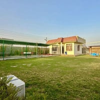 مزرعة توت • ترفيهية • بلد