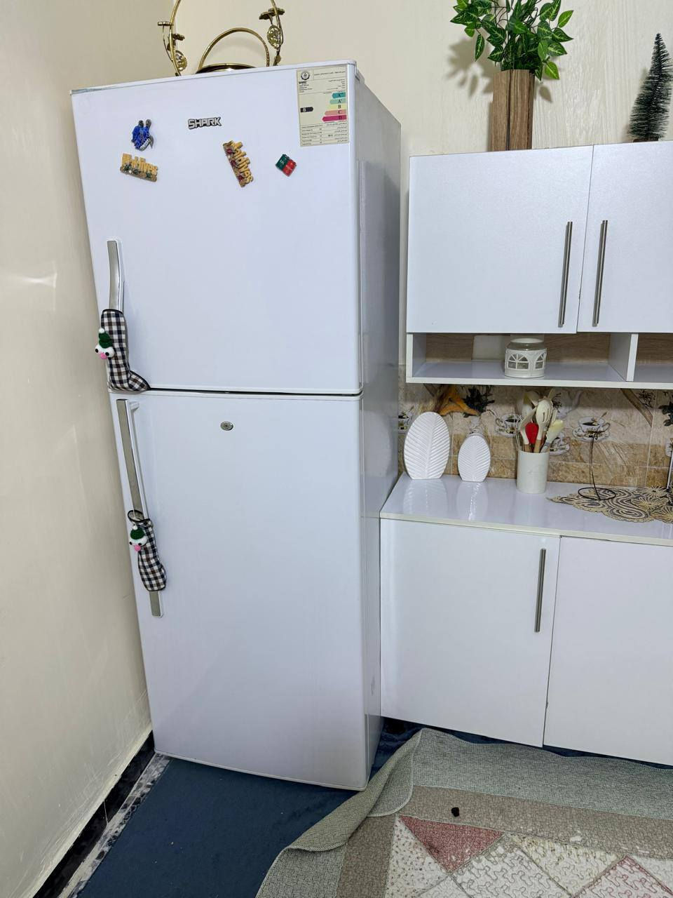 السلام عليكم غراض كلش نضيفه للبيع مكاني الدوره الطباخ 80 الف كله شغال ونضيف فريش المصري دوشك النوعيه الزينه سعره 100 ميز طعام جديد سعره 80 الف كاونتر وملحق هم جديد سعره 250 الف بي مجال ومبرده نوعيته الواحه ثلج برودته الله شاهد السعر 90 الف وعدي بنكات هم جدد وبراد مي ونواعم هم عدي الي يحب يتواصل ويايه على رقم بي واتس اب ‏‪***********‬‏ وغساله 17 كيلو سامسونك اصلي سعره 280 الف
