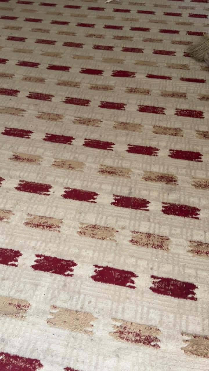 غراض للبيع نضيفات. التصوير ضالمهن. اسعار مناسبة


**إذا كنت صاحب هذا الإعلان وتريد حذفه لأي سبب، رجاءا أرسل رسالة إلى الدعم الفني**