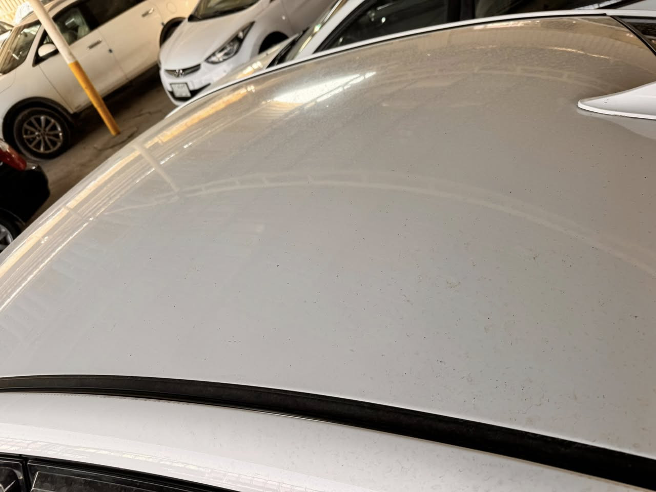 السلام عليكم خواتي لنتره لبيع بيه بارد موضح بل صوره  السعر  ١٢٥ بيه مجال شي بصيط يذه مو شراي لا دك كلشي واضح***********
