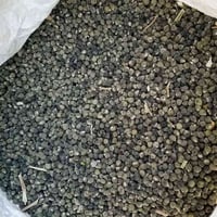 بذور بامية • معربة • تواصل خاص