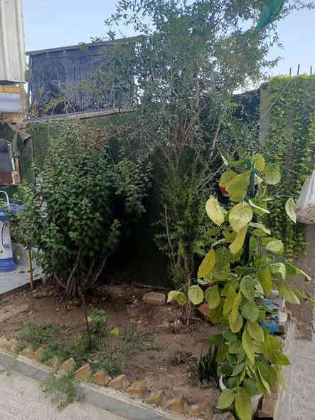 📍حي الباقر - مطلوب اسكان ٥٧ مليون

📏مساحه ٢٠٠م بناء حديث

•الطابق الاول:غرف عدد ٢ ـ استقبال ـ صاله ـ منور عدد ٢ صحيات داخليه وخارجيه طارمه وحديقه 

الطابق الثاني :غرف ٢ ـ صاله ـ مطبخ ـ استقبال ـ صحيات 

•درج داخلي وخارجي ❗️

• بناء جديد 

العنوان / الشطره - حي الباقر - خلف مدرسة ١٤ رمضان وجها على ساحه مثلثه

للاستفسار 

***********
